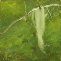 Moss, oil on panel, 5"x5"